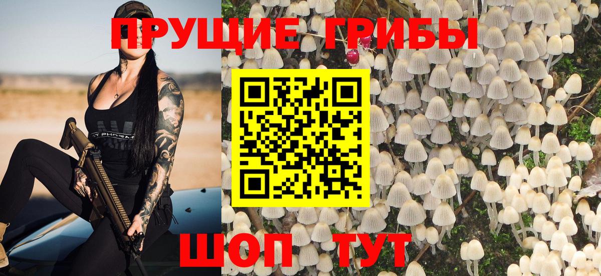 Галлюциногенные грибы мицелий  Вход с VPN  Нижнеудинск 